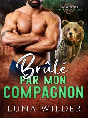 cover image of Brûlé par mon Compagnon